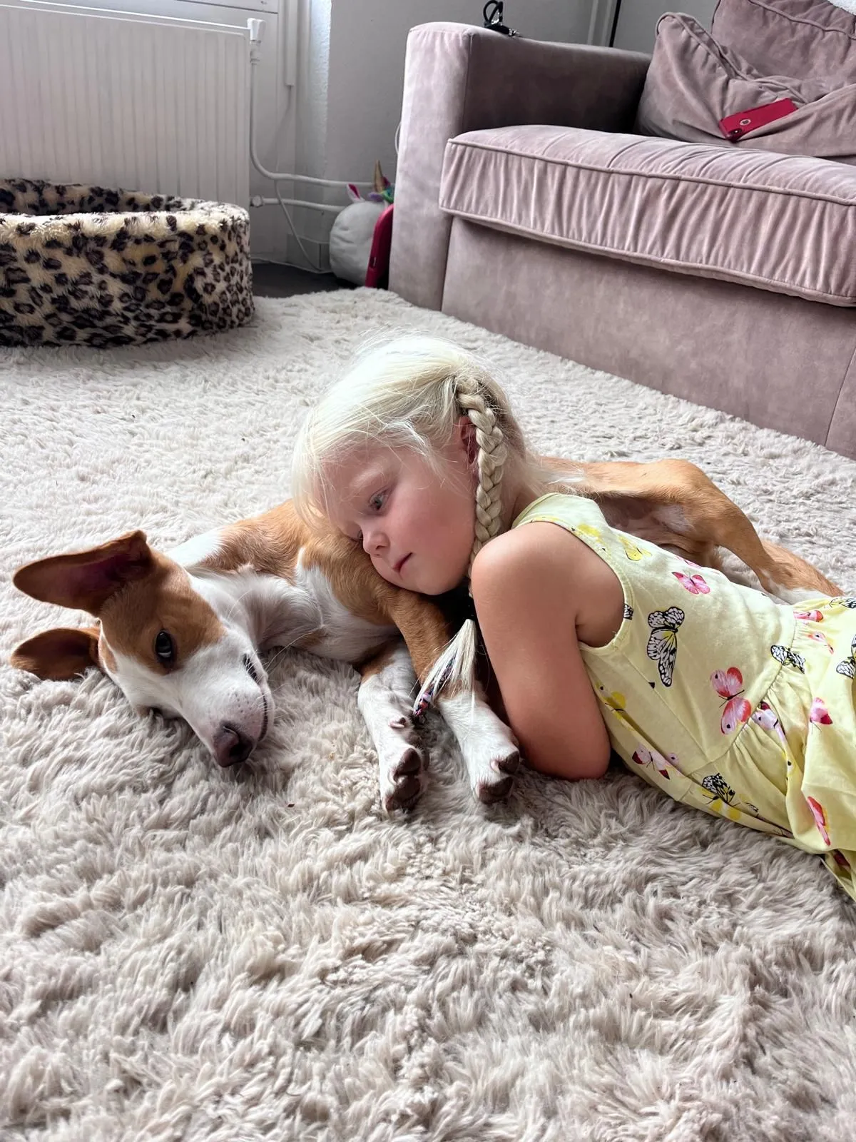 Kind met rescue pup in gastgezin