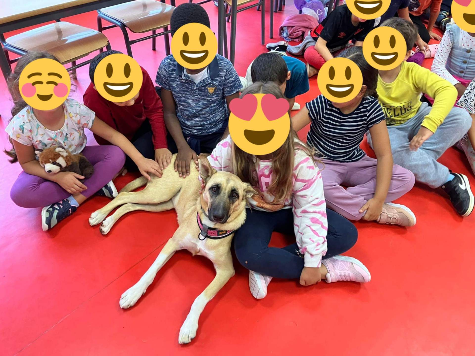 Kinderen samen met een hond van Amigo Fiel